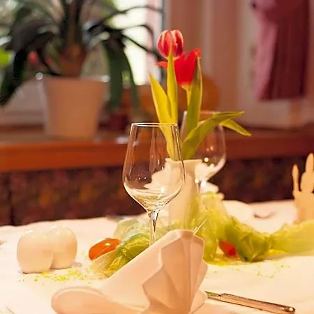 Hotel Hotel Goldner Anker