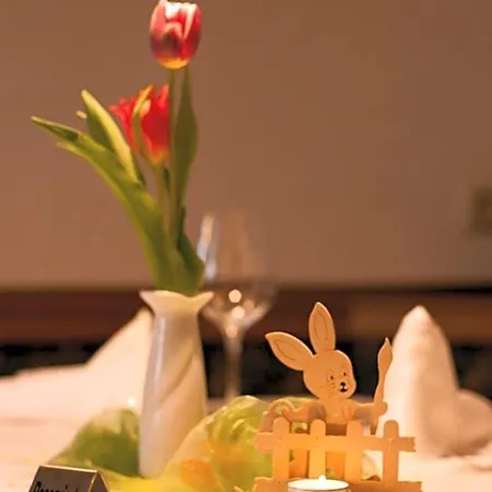 Hotel Goldner Anker