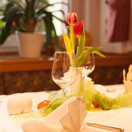 Отель Hotel Goldner Anker Бад-Эльстер