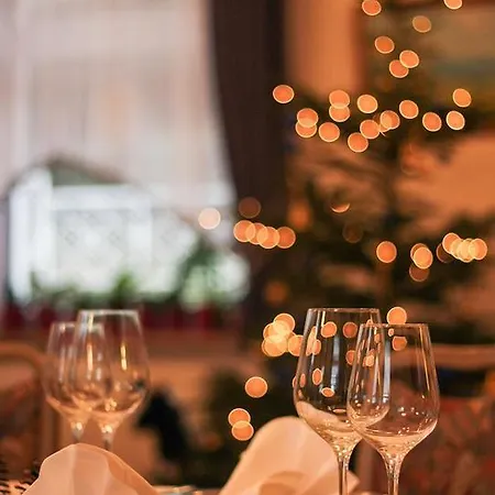 Отель Hotel Goldner Anker