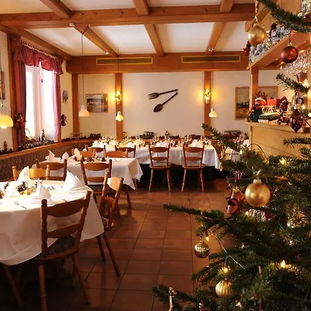 Hotel Goldner Anker Отель Бад-Эльстер
