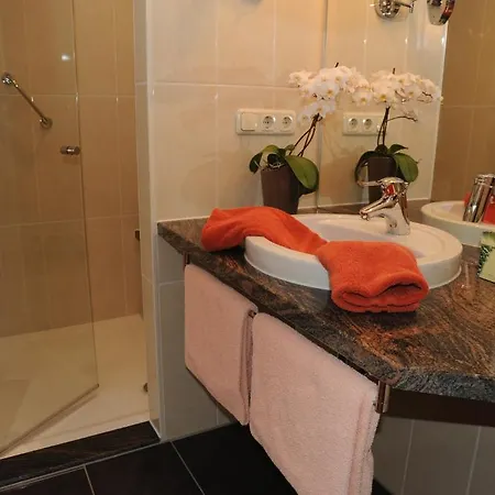 Hotel Hotel Goldner Anker 3*