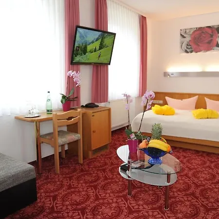 Hotel Goldner Anker Отель Бад-Эльстер